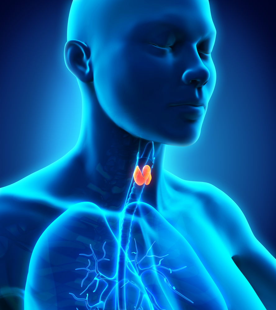 thyroid health