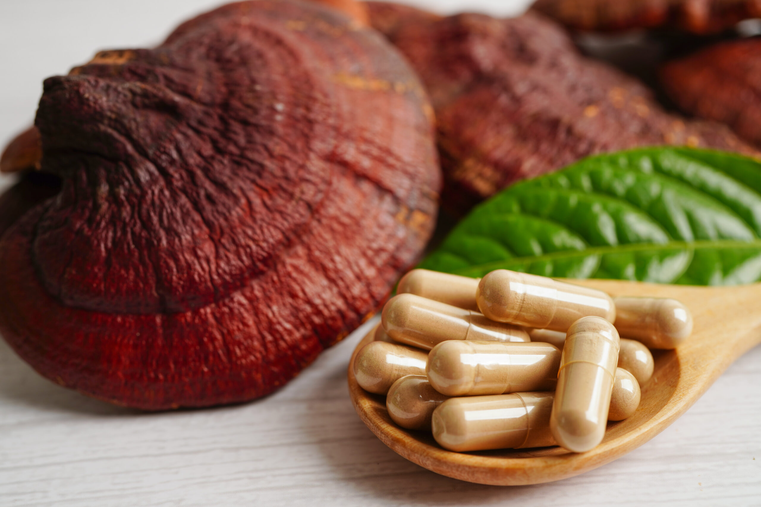Lingzhi or Reishi mushroom with capsules, organic natural health