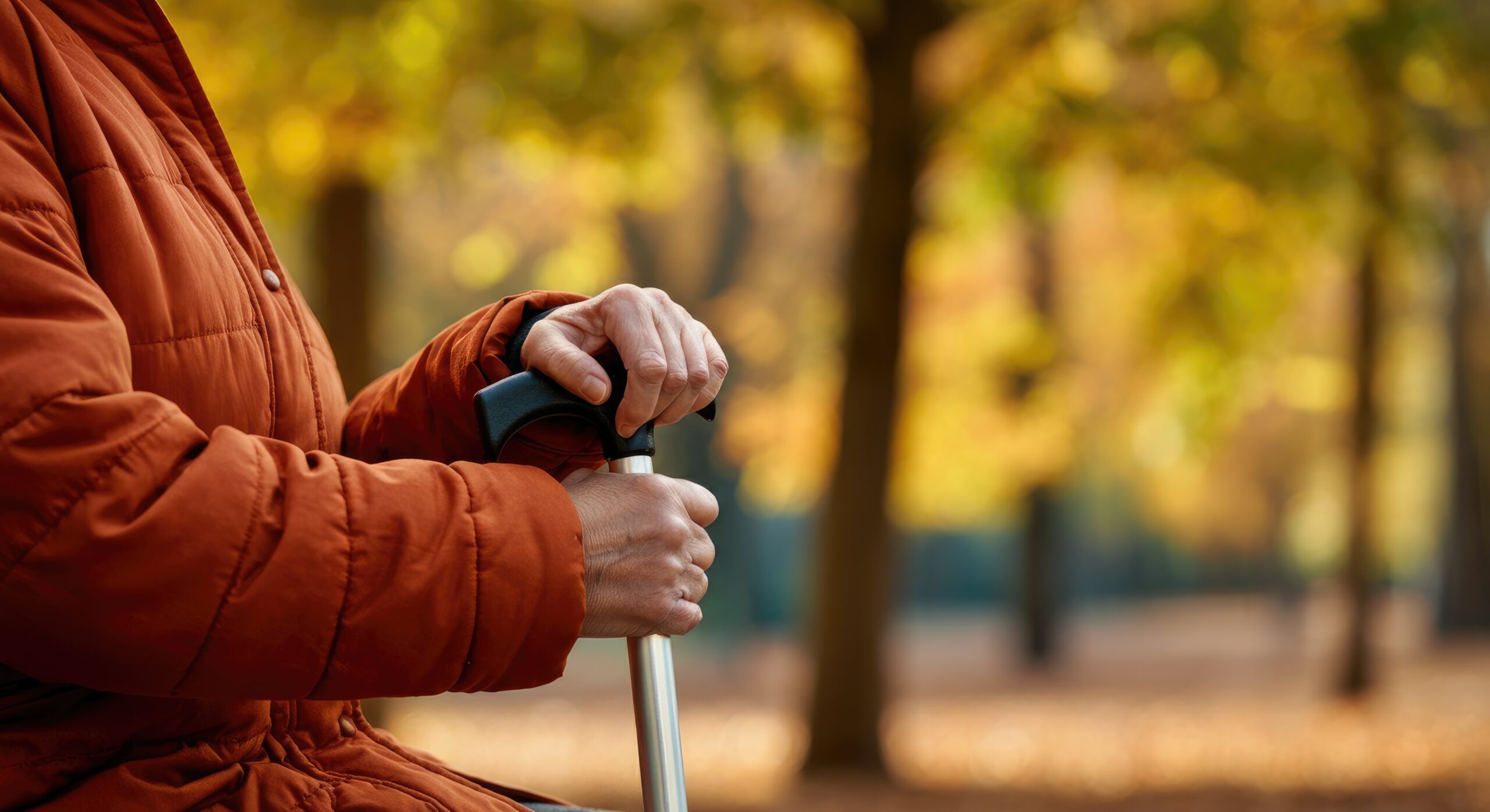 Elderly person with cane in autumn park