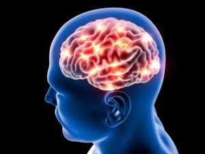 Brain Injury and the Bidirectional Gut-Brain Axis