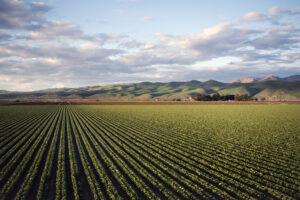 Regenerative Organic Agriculture and the Soil Carbon Solution