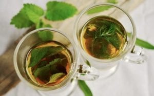 Green Tea Polyphenols Protect Cochlear Hair Cells from Ototoxicity