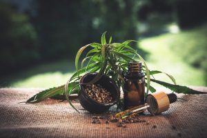 Possible Therapeutic Effects of Cannabidiol on Memory and Cognitive Function