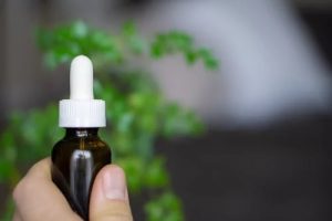 Cannabidiol Not Associated with Interference of Normal Sleep-Wake Cycles