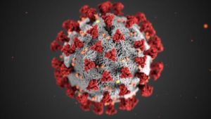 Ursodeoxycholate Producing Bacteria Collinsella Offers Protective Benefits against COVID-19-Related Mortality