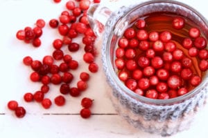 Whole Cranberry Powder Improves Endothelial Function in Healthy Male Participants