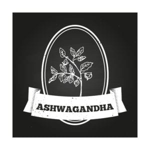The Effects of Supplementation with Ashwagandha Root Extract on Stress and Anxiety
