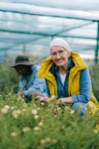 The Association Between the Intake of Mushrooms and Algae (Seaweed) and Cognitive Impairment