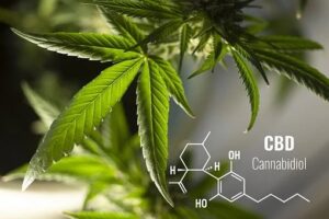 Cannabidiol Reduces Cue-Induced Craving and Anxiety in Heroin Use Disorder