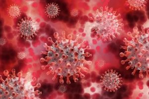 corona virus germs