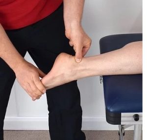 joint health - ankle
