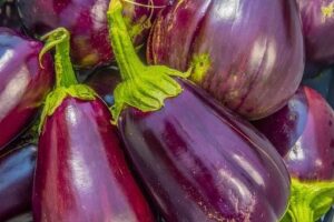 Happy, Anti-hypertensive Eggplant