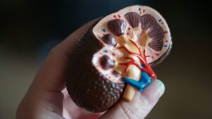 MK-7 Improves Progression of Arterial Stiffness in Diabetic Chronic Kidney Disease Patients