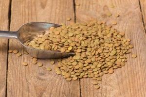 protein - lentils