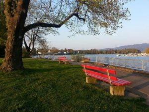park benches