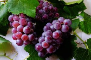 Grape Polyphenols Reduce Intestinal Reactive Oxygen Species in Mice with Metabolic Syndrome