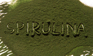 Spirulina Improves Cardiovascular Risk Factors in Obese Hypertension Patients