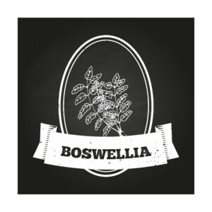 Boswellia Formulation Exhibits Healing Activity Comparable to Silver Sulfadiazine Cream in Subjects with Second-degree Burn Wounds