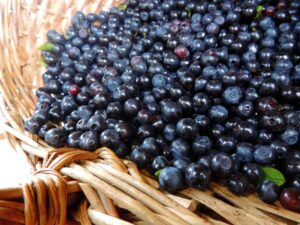 Preventing Methotrexate-Induced Bone Loss With Resveratrol
