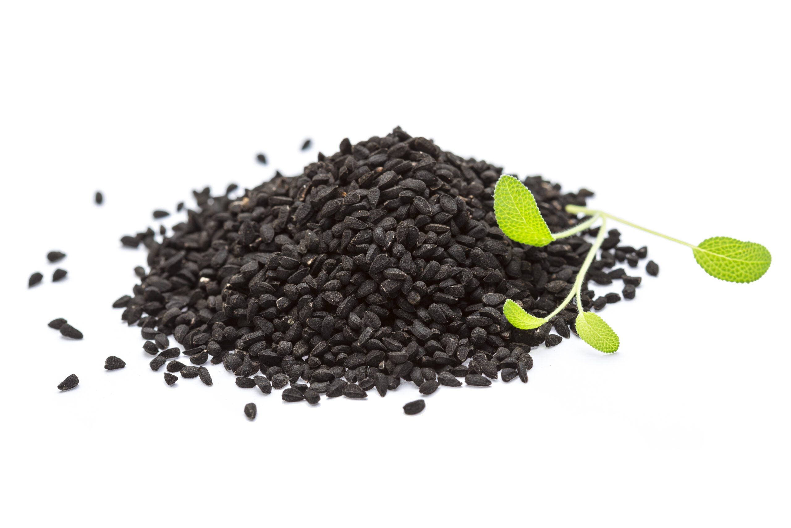 nigella sativa seeds