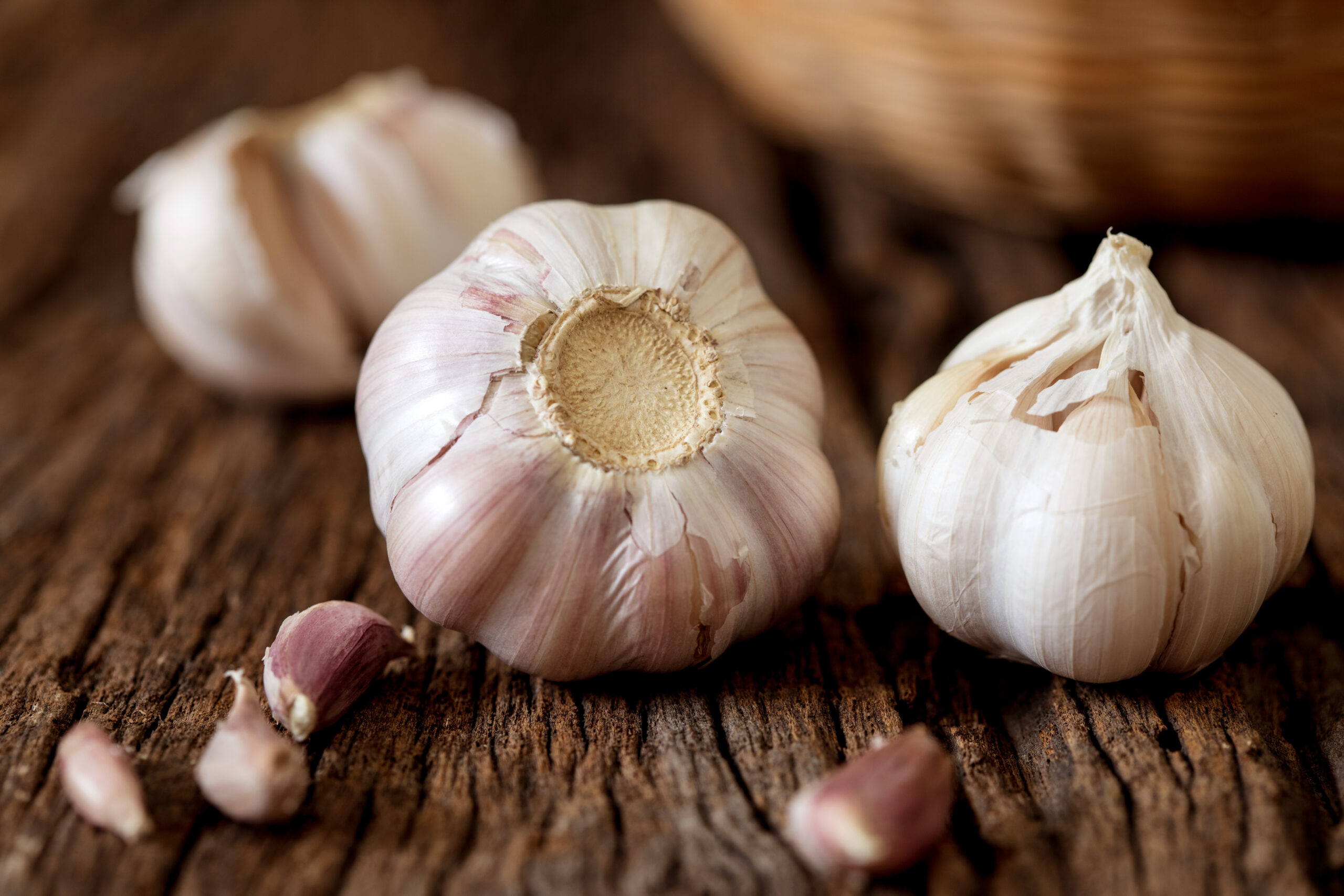 Close up a garlic bulb in bowl on wooden table