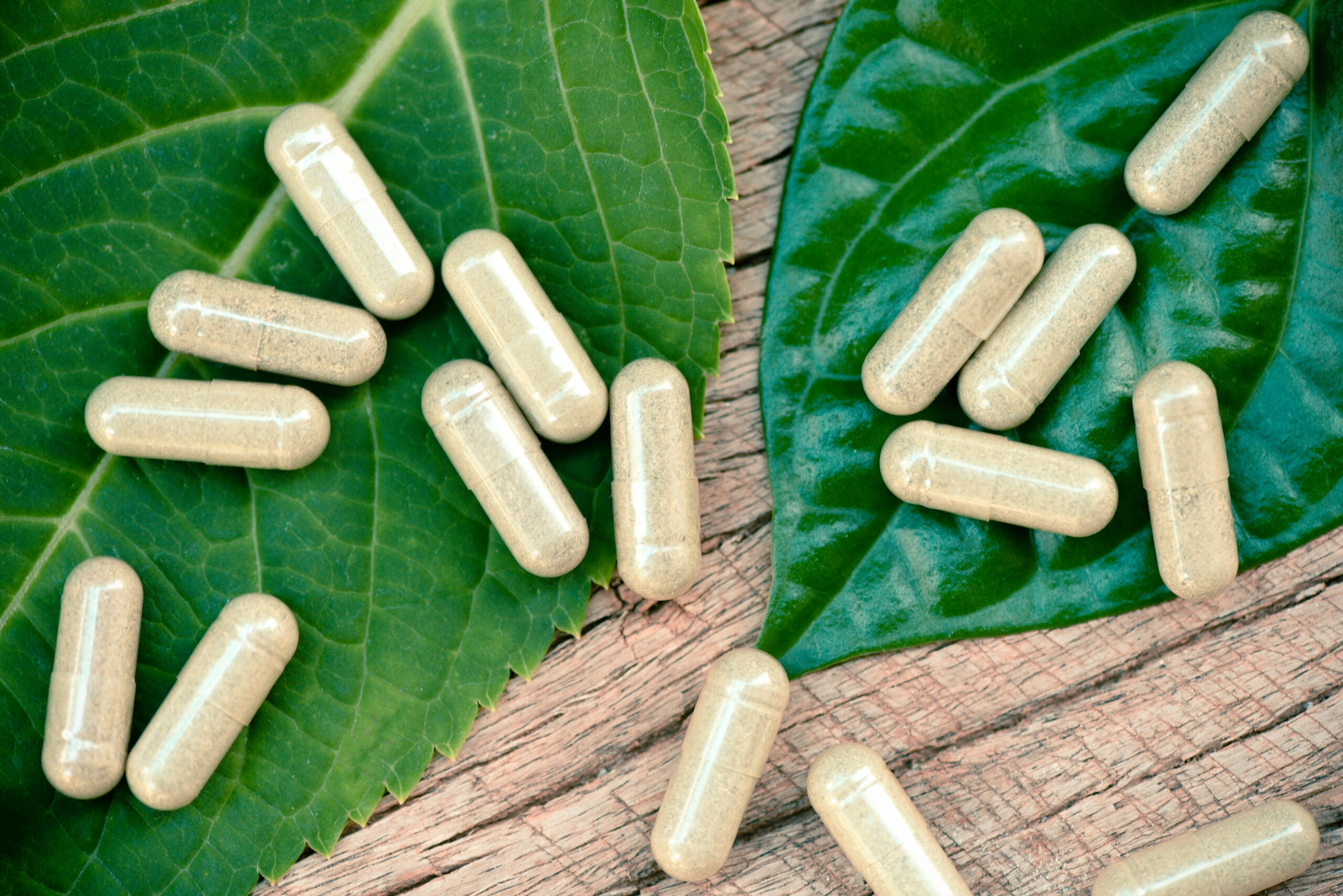 capsules on green leaves