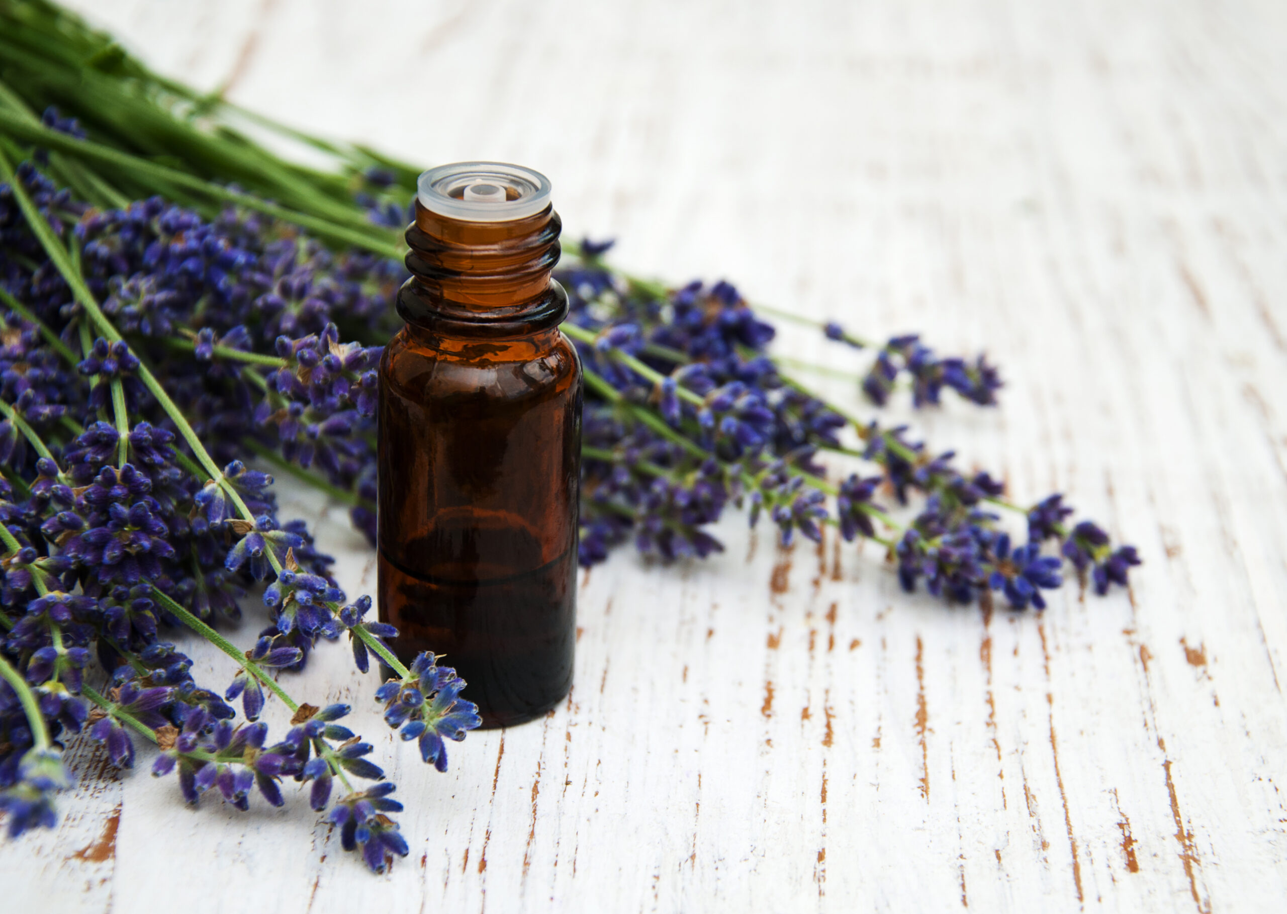 lavender oil with fresh lavender