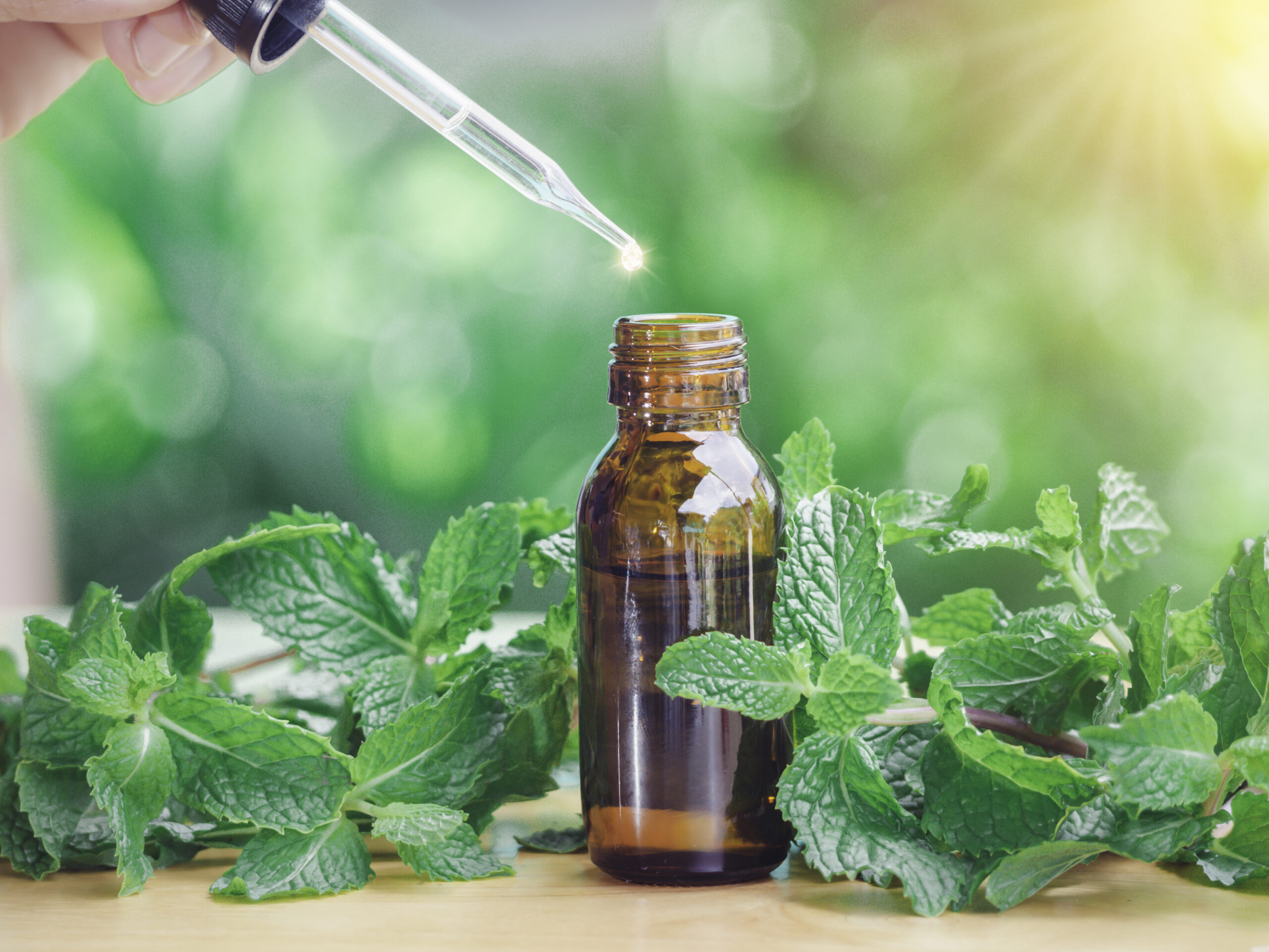 peppermint leaves with bottle of oil and dropper